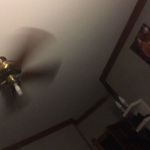 Meet your Posher, Jackson